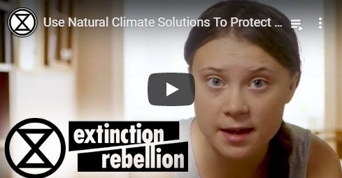 2019-04-00-natural-climate-solutions-averting-climate-breakdown-by-restoring-ecosystems-english